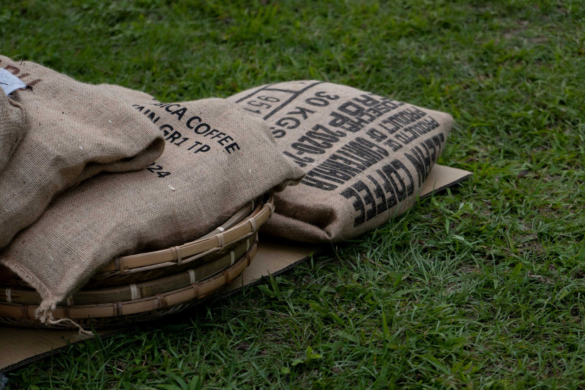 a bag of coffee sitting on top of a cardboard box